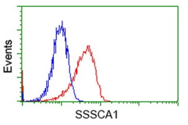Anti-SSSCA1 antibody [2F5] used in Flow cytometry (FCM). GTX83556