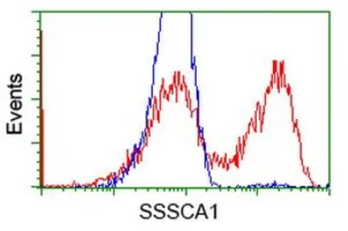 Anti-SSSCA1 antibody [2F5] used in Flow cytometry (FCM). GTX83556