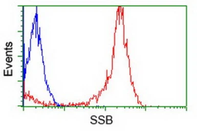 Anti-SSB antibody [1E11] used in Flow cytometry (FCM). GTX83558