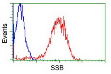 Anti-SSB antibody [3H9] used in Flow cytometry (FCM). GTX83560