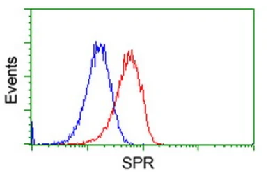 Anti-SPR antibody [1F4] used in Flow cytometry (FCM). GTX83572