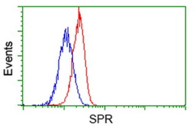 Anti-SPR antibody [1F4] used in Flow cytometry (FCM). GTX83572