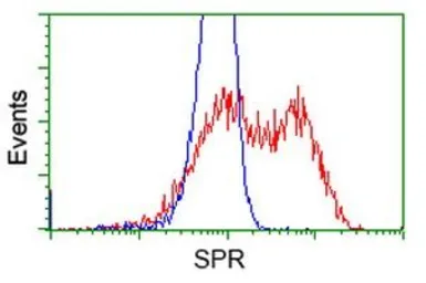 Anti-SPR antibody [1F4] used in Flow cytometry (FCM). GTX83572
