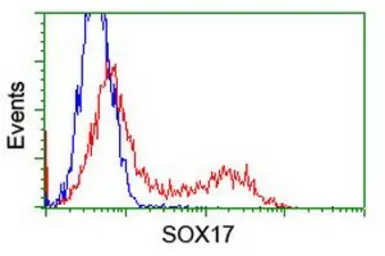 Anti-SOX17 antibody [3B10] used in Flow cytometry (FCM). GTX83580