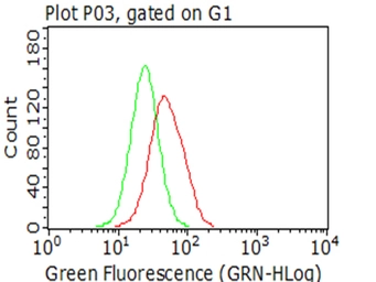 Anti-SMAD2 antibody [2C10] used in Flow cytometry (FCM). GTX83612