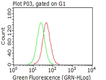 Anti-SMAD2 antibody [4G7] used in Flow cytometry (FCM). GTX83613