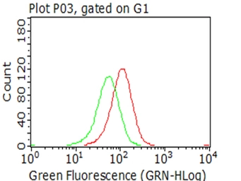 Anti-SMAD2 antibody [4G7] used in Flow cytometry (FCM). GTX83613
