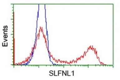 Anti-SLFNL1 antibody [4F7] used in Flow cytometry (FCM). GTX83614