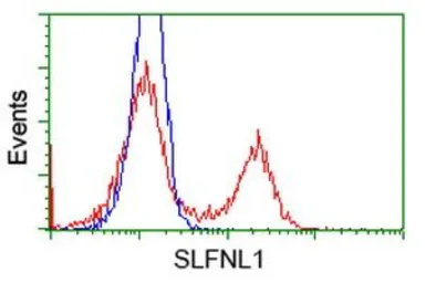 Anti-SLFNL1 antibody [4E5] used in Flow cytometry (FCM). GTX83615