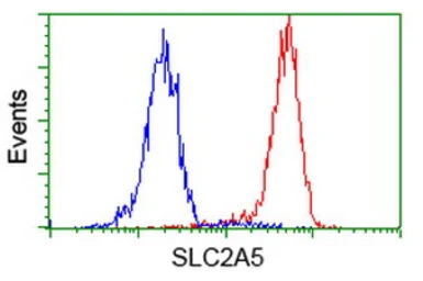 Anti-GLUT5 antibody [9F3] used in Flow cytometry (FCM). GTX83628