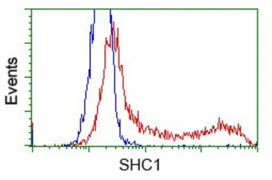 Anti-SHC1 antibody [1D3] used in Flow cytometry (FCM). GTX83655