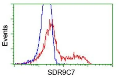 Anti-SDR9C7 antibody [7E11] used in Flow cytometry (FCM). GTX83669
