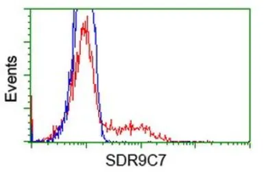 Anti-SDR9C7 antibody [4B5] used in Flow cytometry (FCM). GTX83671