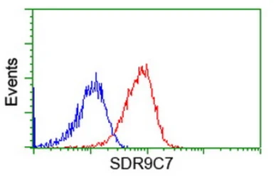 Anti-SDR9C7 antibody [6A8] used in Flow cytometry (FCM). GTX83673