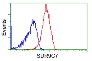 Anti-SDR9C7 antibody [6A8] used in Flow cytometry (FCM). GTX83673