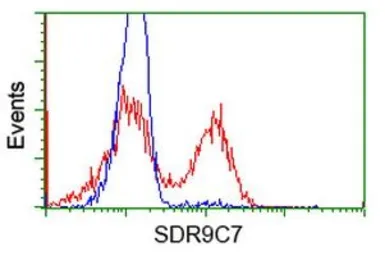 Anti-SDR9C7 antibody [6A8] used in Flow cytometry (FCM). GTX83673