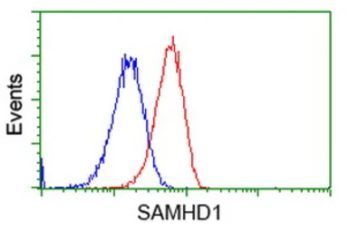 Anti-SAMHD1 antibody [1F9] used in Flow cytometry (FCM). GTX83686