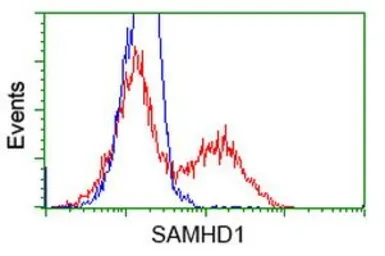 Anti-SAMHD1 antibody [1F6] used in Flow cytometry (FCM). GTX83687