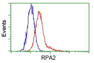 Anti-RPA32 antibody [8B3] used in Flow cytometry (FCM). GTX83688