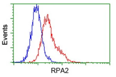 Anti-RPA32 antibody [8B3] used in Flow cytometry (FCM). GTX83688