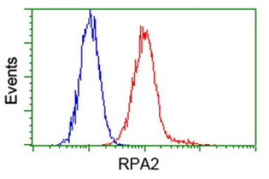 Anti-RPA32 antibody [1H10] used in Flow cytometry (FACS). GTX83691