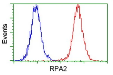 Anti-RPA32 antibody [1H10] used in Flow cytometry (FACS). GTX83691