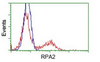 Anti-RPA32 antibody [1H10] used in Flow cytometry (FACS). GTX83691