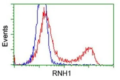 Anti-Ribonuclease Inhibitor antibody [3F11] used in Flow cytometry (FCM). GTX83696