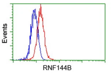 Anti-RNF144B antibody [9H10] used in Flow cytometry (FCM). GTX83704