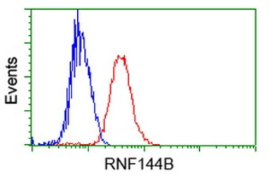 Anti-RNF144B antibody [9H10] used in Flow cytometry (FCM). GTX83704