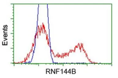 Anti-RNF144B antibody [9H10] used in Flow cytometry (FCM). GTX83704