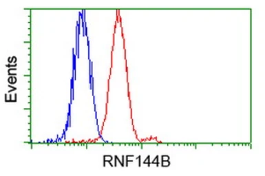 Anti-RNF144B antibody [11F4] used in Flow cytometry (FCM). GTX83705