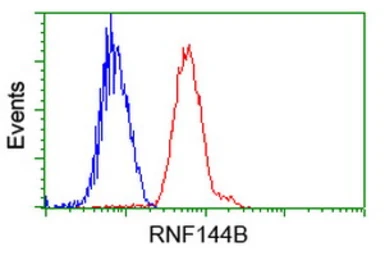 Anti-RNF144B antibody [11F4] used in Flow cytometry (FCM). GTX83705