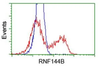 Anti-RNF144B antibody [11F4] used in Flow cytometry (FCM). GTX83705
