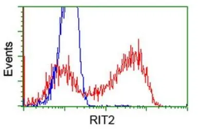 Anti-RIT2 antibody [3F4] used in Flow cytometry (FCM). GTX83710