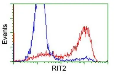 Anti-RIT2 antibody [4B5] used in Flow cytometry (FCM). GTX83711