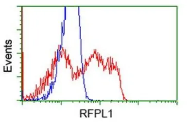 Anti-RFPL1 antibody [1D3] used in Flow cytometry (FCM). GTX83715