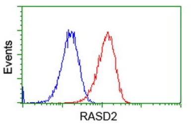 Anti-RASD2 antibody [1G1] used in Flow cytometry (FCM). GTX83722