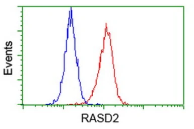Anti-RASD2 antibody [1D11] used in Flow cytometry (FCM). GTX83723