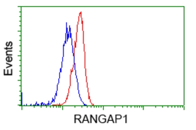 Anti-RANGAP1 antibody [1B4] used in Flow cytometry (FCM). GTX83725