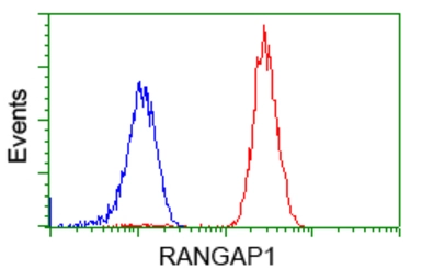 Anti-RANGAP1 antibody [1B4] used in Flow cytometry (FCM). GTX83725