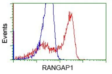Anti-RANGAP1 antibody [1B4] used in Flow cytometry (FCM). GTX83725