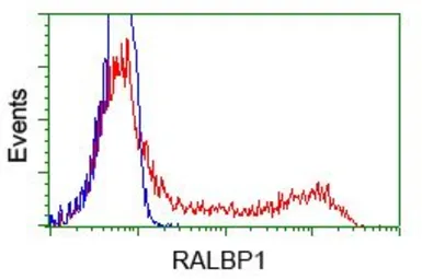 Anti-RALBP1 antibody [6C6] used in Flow cytometry (FCM). GTX83726