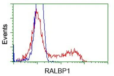 Anti-RALBP1 antibody [1H9] used in Flow cytometry (FCM). GTX83727