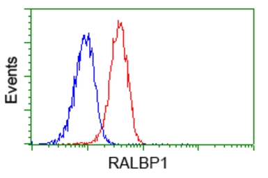 Anti-RALBP1 antibody [11B2] used in Flow cytometry (FCM). GTX83728