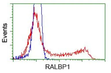 Anti-RALBP1 antibody [6G10] used in Flow cytometry (FCM). GTX83730