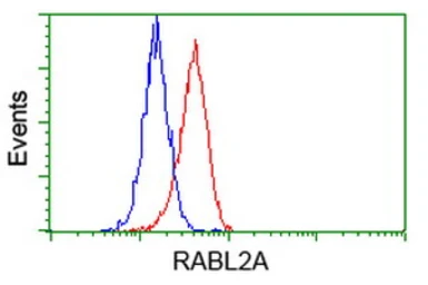Anti-RABL2A antibody [4A8] used in Flow cytometry (FCM). GTX83738