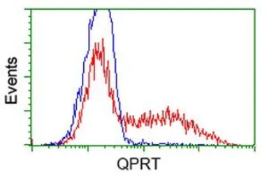 Anti-QPRT antibody [1C10] used in Flow cytometry (FCM). GTX83743