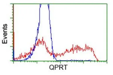 Anti-QPRT antibody [4B4] used in Flow cytometry (FCM). GTX83744