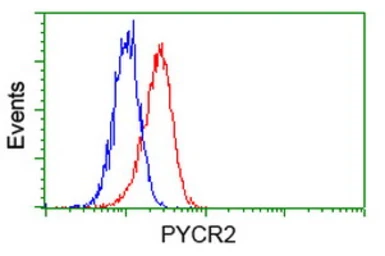 Anti-PYCR2 antibody [4A10] used in Flow cytometry (FCM). GTX83752